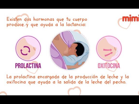 produccion de oxitocina en lactancia