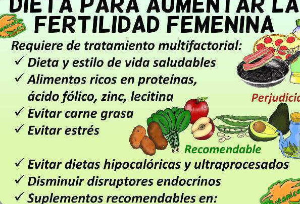 alimentos para mejorar fertilidad