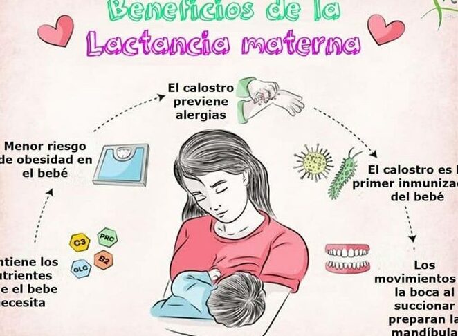 beneficios de la lactancia materna