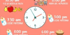 horarios de alimentacion para bebes