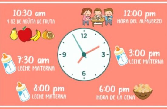 horarios de alimentacion para bebes