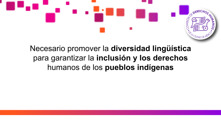 inclusion de la diversidad linguistica