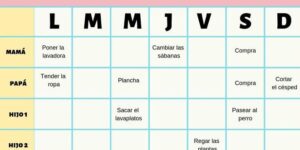 organizacion familiar y division tareas