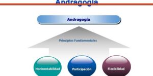 principios y caracteristicas de andragogia