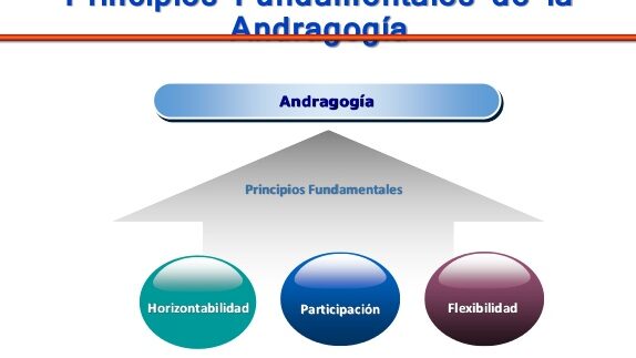 principios y caracteristicas de andragogia