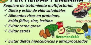 alimentos para aumentar fertilidad