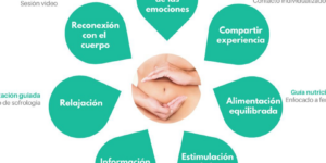 bienestar y fertilidad una guia