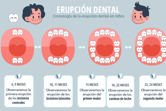 sintomas de erupcion dental en bebes